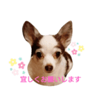 まゆ毛のフクちゃん2（個別スタンプ：6）