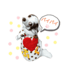まゆ毛のフクちゃん2（個別スタンプ：8）