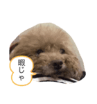 あげいんももんな（個別スタンプ：1）
