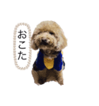 あげいんももんな（個別スタンプ：2）