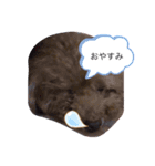 あげいんももんな（個別スタンプ：3）
