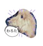 あげいんももんな（個別スタンプ：5）