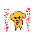 トイプードルのケキゴースタンプ（個別スタンプ：1）