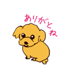 トイプードルのケキゴースタンプ（個別スタンプ：2）
