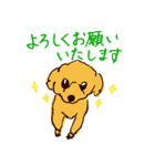 トイプードルのケキゴースタンプ（個別スタンプ：4）