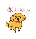 トイプードルのケキゴースタンプ（個別スタンプ：5）