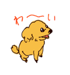 トイプードルのケキゴースタンプ（個別スタンプ：7）