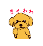 トイプードルのケキゴースタンプ（個別スタンプ：10）