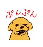 トイプードルのケキゴースタンプ（個別スタンプ：11）