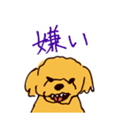トイプードルのケキゴースタンプ（個別スタンプ：12）