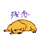 トイプードルのケキゴースタンプ（個別スタンプ：14）