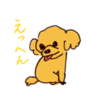 トイプードルのケキゴースタンプ（個別スタンプ：17）