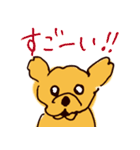 トイプードルのケキゴースタンプ（個別スタンプ：18）
