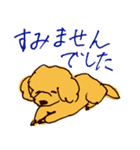 トイプードルのケキゴースタンプ（個別スタンプ：21）