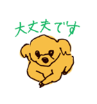 トイプードルのケキゴースタンプ（個別スタンプ：22）