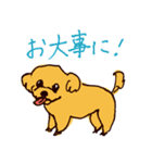 トイプードルのケキゴースタンプ（個別スタンプ：24）