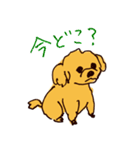 トイプードルのケキゴースタンプ（個別スタンプ：25）