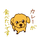 トイプードルのケキゴースタンプ（個別スタンプ：29）