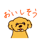 トイプードルのケキゴースタンプ（個別スタンプ：30）