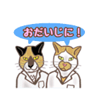 フルートアンサンブルブリージョデフラウタ（個別スタンプ：13）