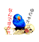 キンカ族『お嬢』（個別スタンプ：7）
