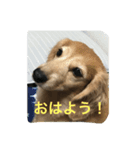 ジュリ'sスタンプ（個別スタンプ：2）