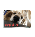 ジュリ'sスタンプ（個別スタンプ：3）