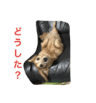 ジュリ'sスタンプ（個別スタンプ：6）