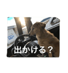ジュリ'sスタンプ（個別スタンプ：7）