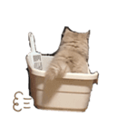 ジルちゃんのスタンプ（個別スタンプ：8）