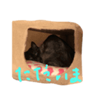 クマ子のスタンプ（個別スタンプ：5）