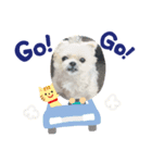 さくらまったり（個別スタンプ：1）