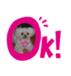 さくらまったり（個別スタンプ：2）
