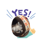 さくらまったり（個別スタンプ：7）