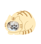 さくらまったり（個別スタンプ：8）