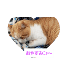 空とタマ！（個別スタンプ：1）
