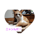 空とタマ！（個別スタンプ：3）