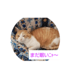 空とタマ！（個別スタンプ：4）