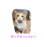 空とタマ！（個別スタンプ：5）