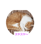 空とタマ！（個別スタンプ：6）