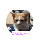 空とタマ！（個別スタンプ：7）