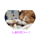 空とタマ！（個別スタンプ：8）