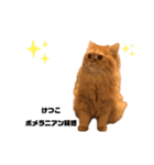 けつこ（個別スタンプ：4）