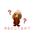 ちゃぴこみんぐのスタンプ（個別スタンプ：4）