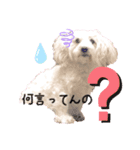 かわいいみるくのスタンプ♡♥♡（個別スタンプ：2）