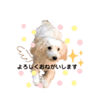 かわいいみるくのスタンプ♡♥♡（個別スタンプ：5）