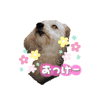 かわいいみるくのスタンプ♡♥♡（個別スタンプ：6）