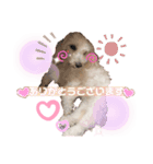 かわいいみるくのスタンプ♡♥♡（個別スタンプ：8）