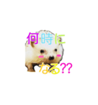 ハリネズミ はりねずみ 可愛い 挨拶 日常（個別スタンプ：4）