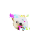 ハリネズミ はりねずみ 可愛い 挨拶 日常（個別スタンプ：5）
